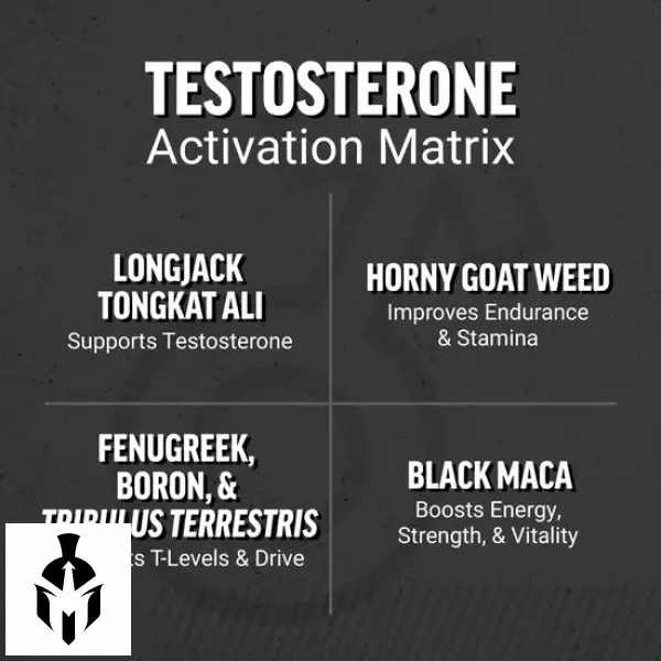 Force Factor Test X180 Gummies: Boost Testosterone Naturally | Berry Punch | 60 Gummies - Image 4