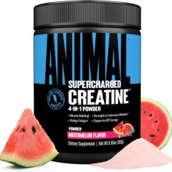 Animal Supercharged Creatine Powder | 282 GM