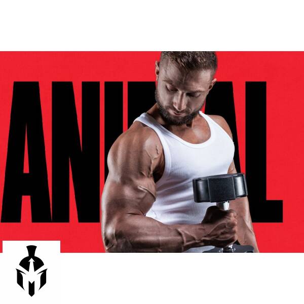 Animal Test: Premium Testosterone Booster for Maximum Muscle Gains | 21 Packs - Image 6