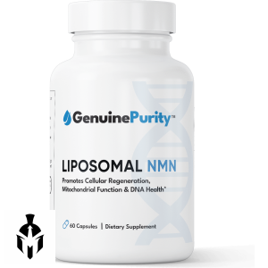 Liposomal NMN