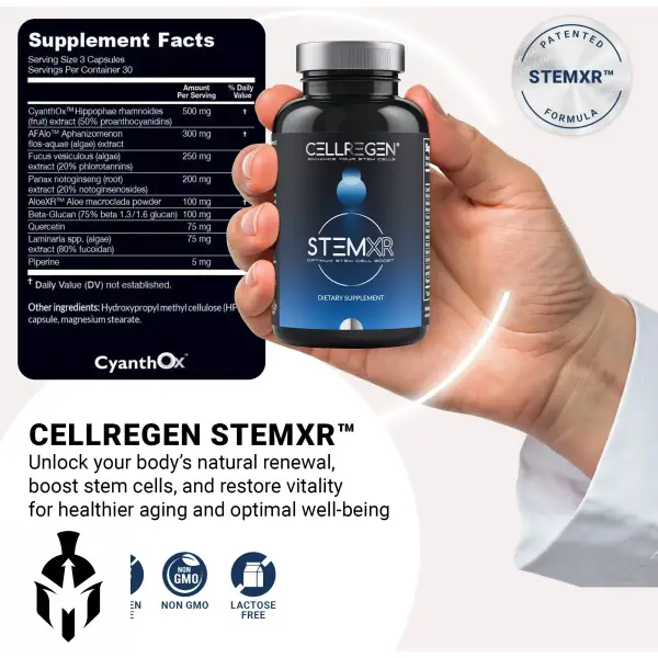 ⁦Stem-XR | مكمل طبيعي لدعم الخلايا الجذعية⁩ - الصورة ⁦2⁩